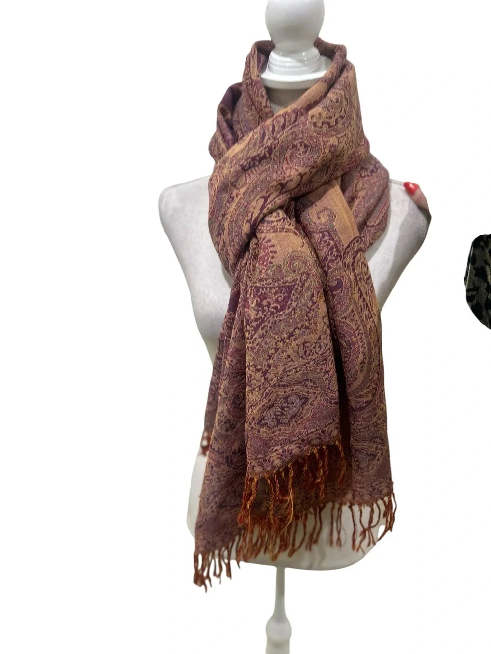 Kashmir royal collection 100% wool Elegant Paisley rust Scarf with fringe